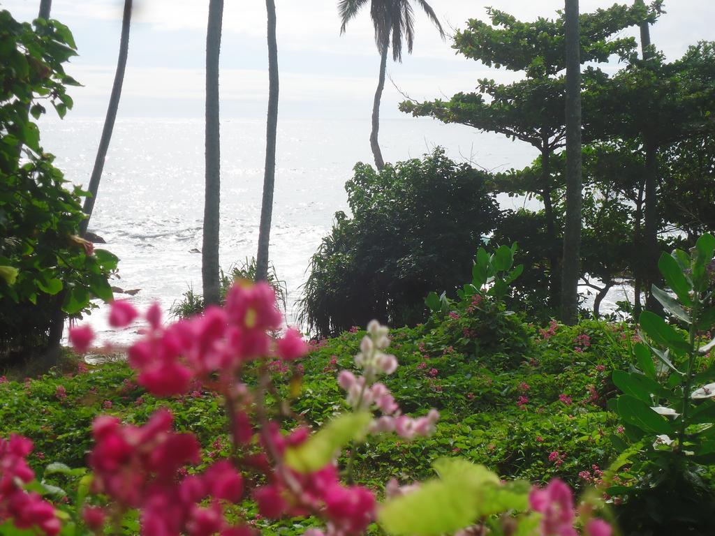 Masha Beach Inn Tangalle Exterior photo